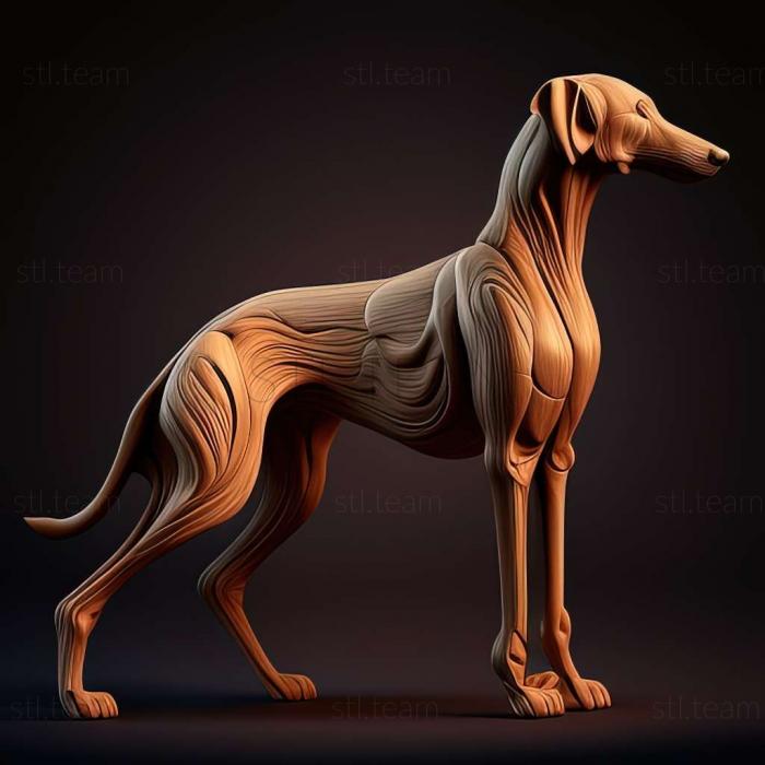 Animals Spanish Galgo dog